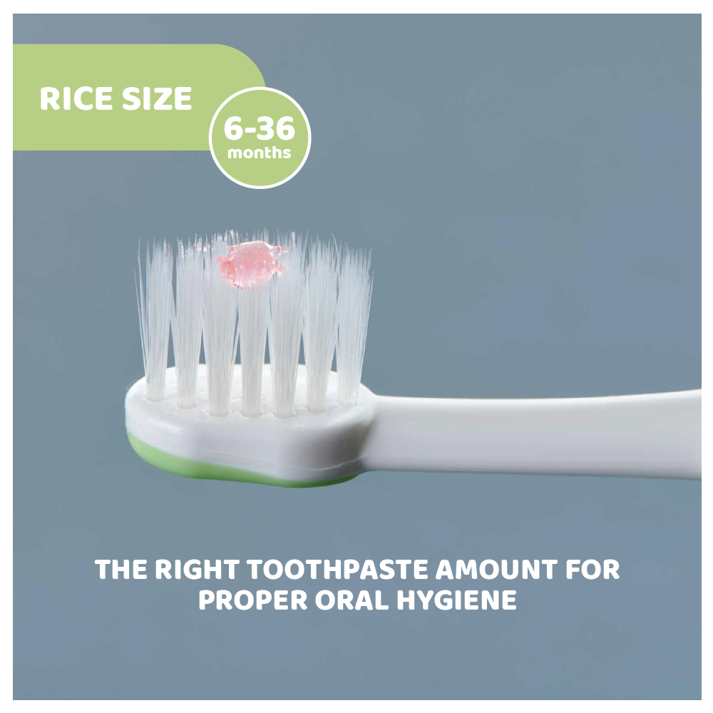 Chicco Toothbrush 6M+