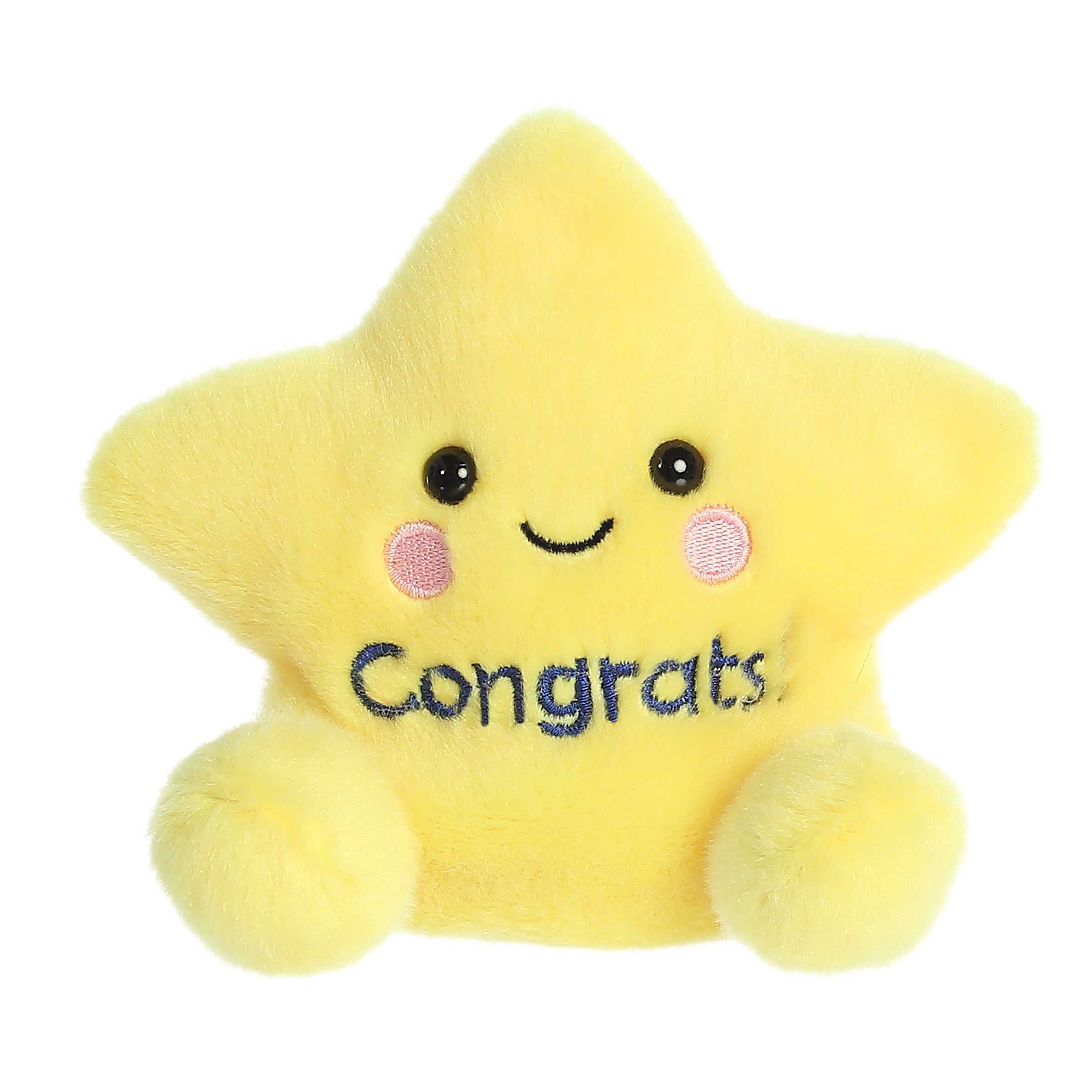 Palm Pals Galileo Congrats Star