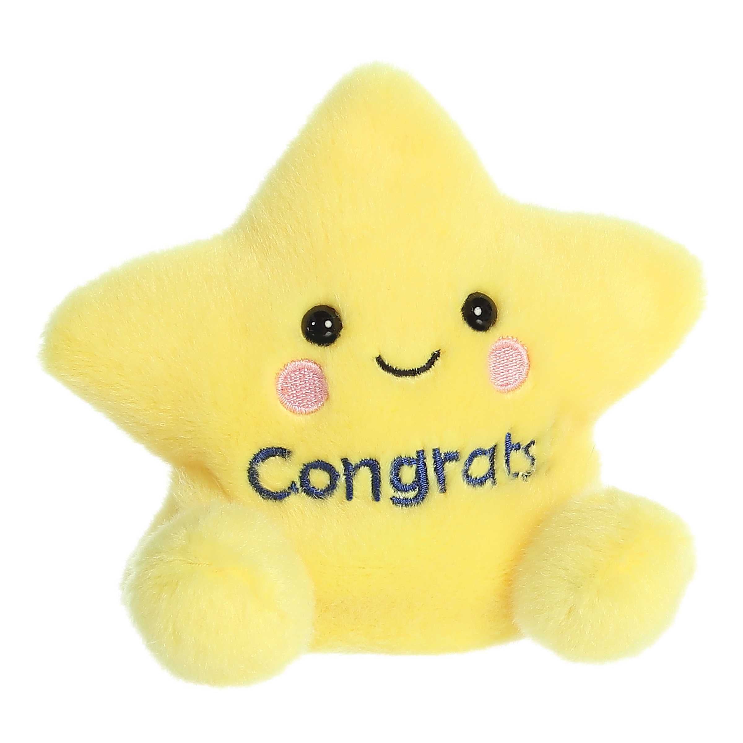 Palm Pals Galileo Congrats Star