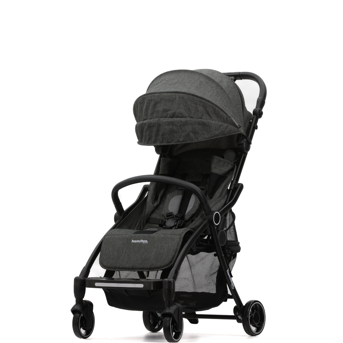 HAMILTON XL New Facelift Assorted Colour Little Baby