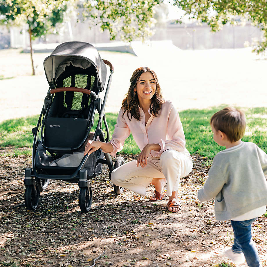 UPPAbaby VISTA V3 Stroller