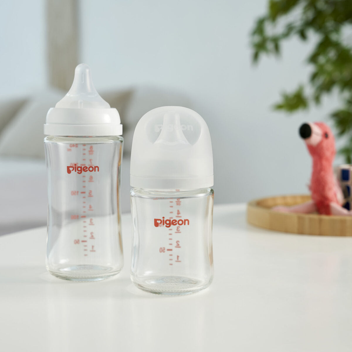 Pigeon SofTouch™ Nursing Bottle Glass 240ml