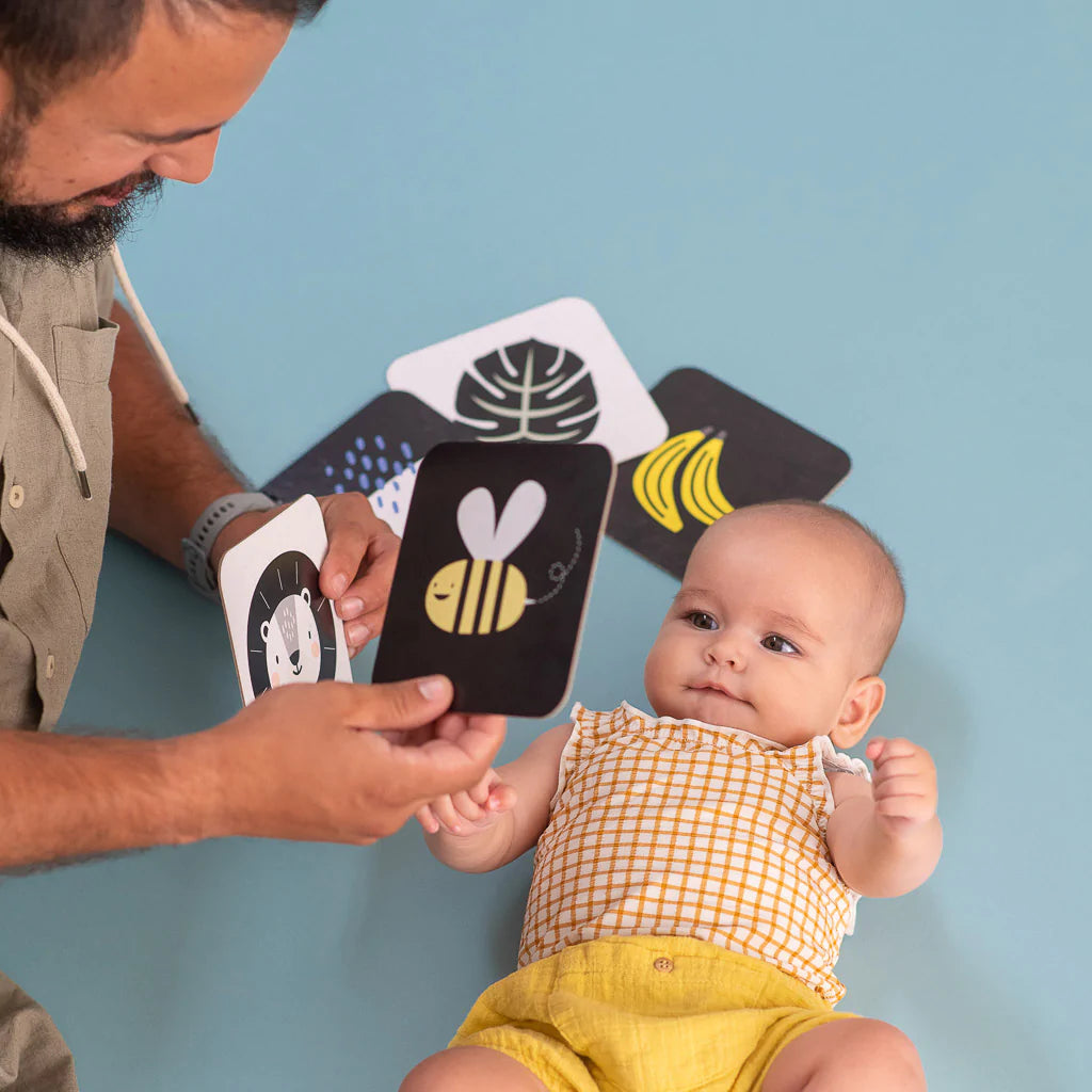 Taf Toys My 1st Tummy Time Cards