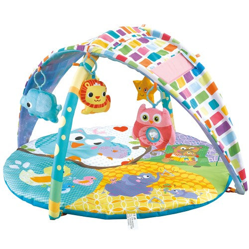 Lucky Baby 2-in-1 Sky Canopy Play Gym