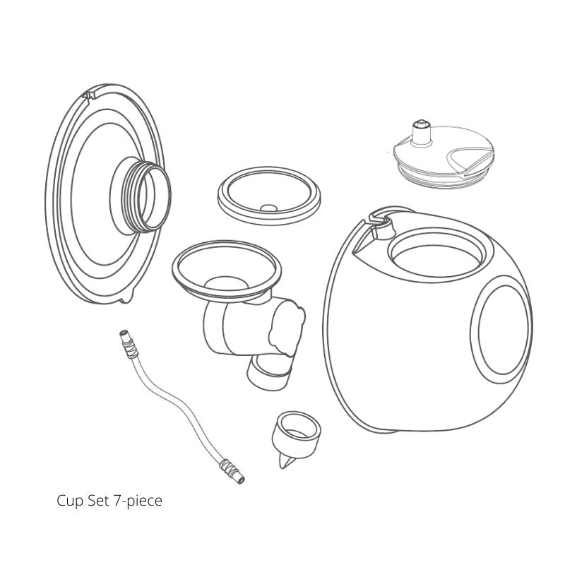 Baby Express 7- piece Cup Set 27mm | Little Baby.