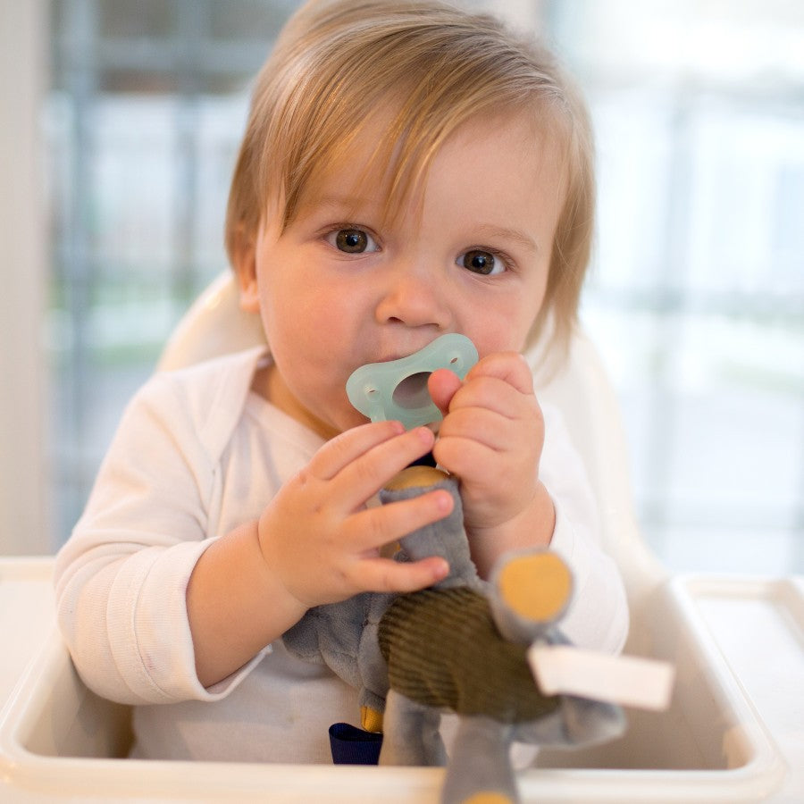 Dr. Brown’s Lovey Pacifier & Teether Holder (Assorted Designs)
