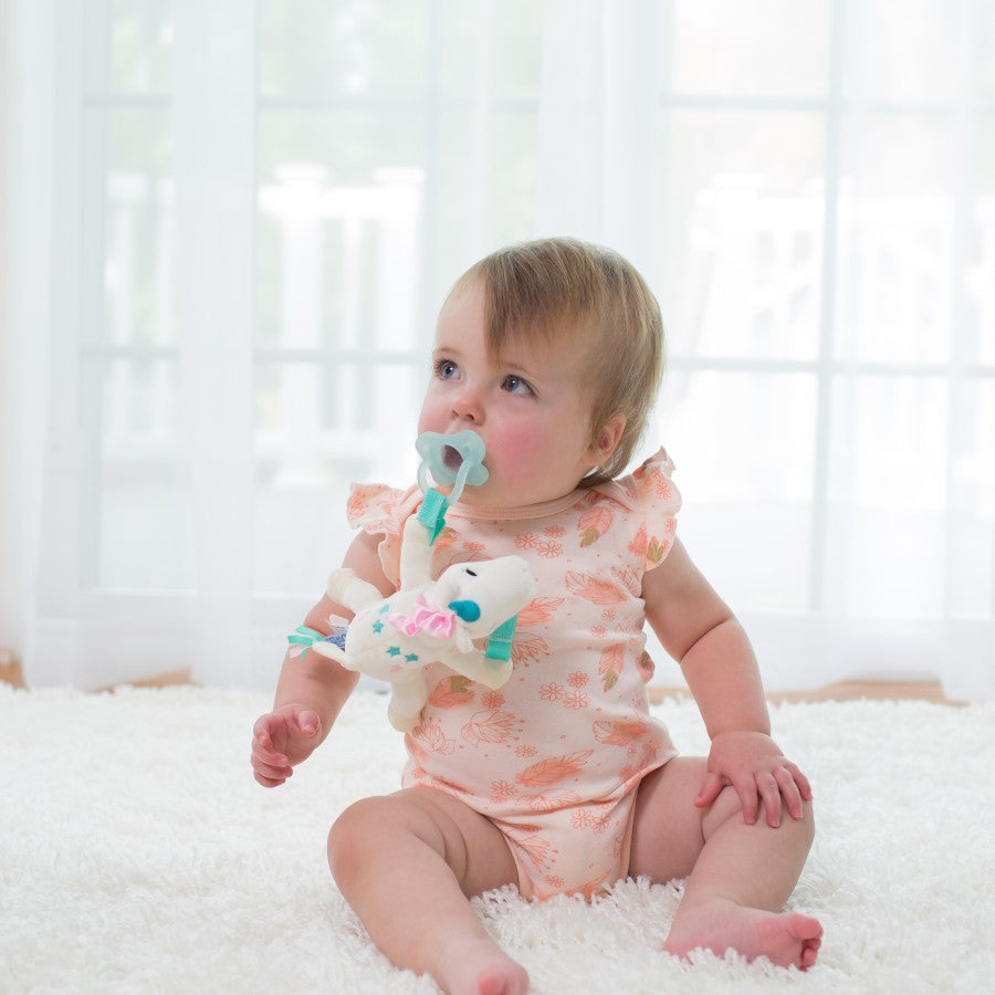 Dr. Brown’s Lovey Pacifier & Teether Holder (Assorted Designs)