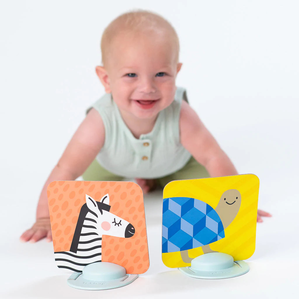 Taf Toys My 1st Tummy Time Cards
