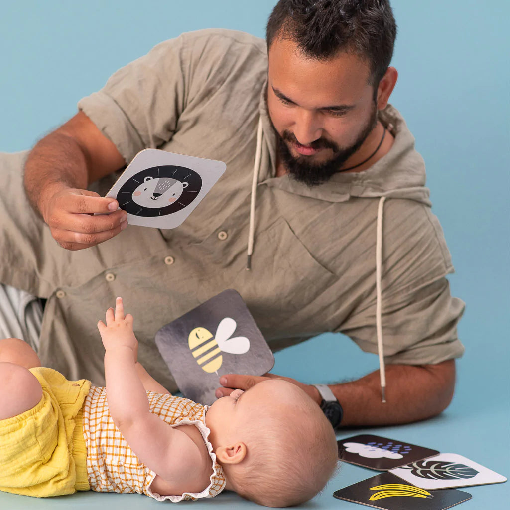 Taf Toys My 1st Tummy Time Cards