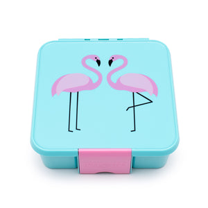 Little Lunch Box - Bento Three – Flamingo | Little Baby.