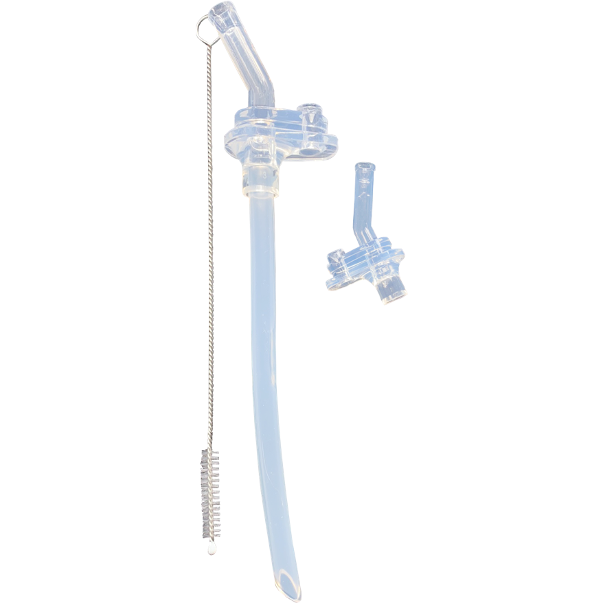 Evorie Straw Water Bottle Mug 300mL Replacement Straw