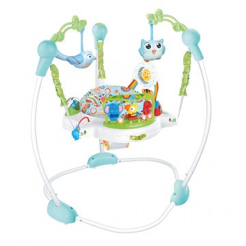 Lucky Baby Baby Jumper Activities Centre