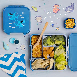 Little Lunch Box Co - Bento Five - Shark | Little Baby.