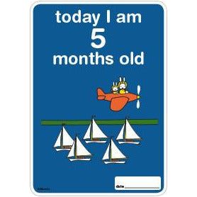 Milestone Baby Cards Miffy Edition | Little Baby.