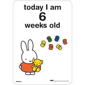 Milestone Baby Cards Miffy Edition | Little Baby.