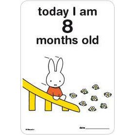 Milestone Baby Cards Miffy Edition | Little Baby.