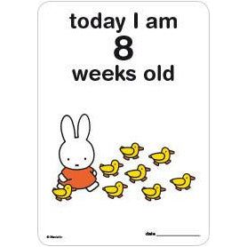 Milestone Baby Cards Miffy Edition | Little Baby.