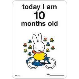 Milestone Baby Cards Miffy Edition | Little Baby.