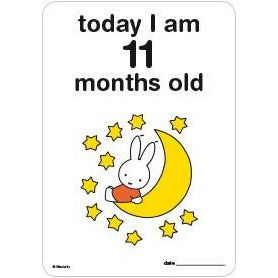 Milestone Baby Cards Miffy Edition | Little Baby.