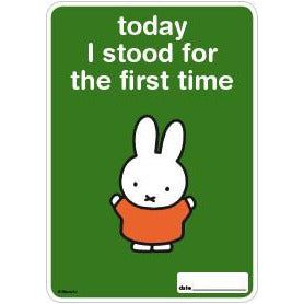 Milestone Baby Cards Miffy Edition | Little Baby.