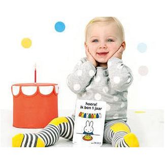 Milestone Baby Cards Miffy Edition | Little Baby.