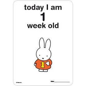 Milestone Baby Cards Miffy Edition | Little Baby.