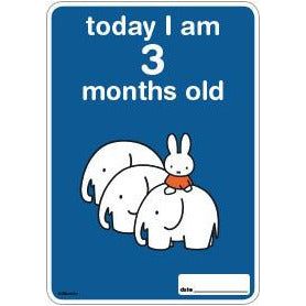 Milestone Baby Cards Miffy Edition | Little Baby.