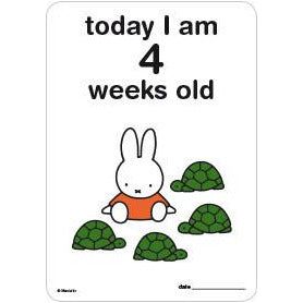 Milestone Baby Cards Miffy Edition | Little Baby.