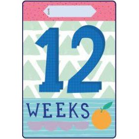 Milestone Pregnancy Cards | Little Baby.
