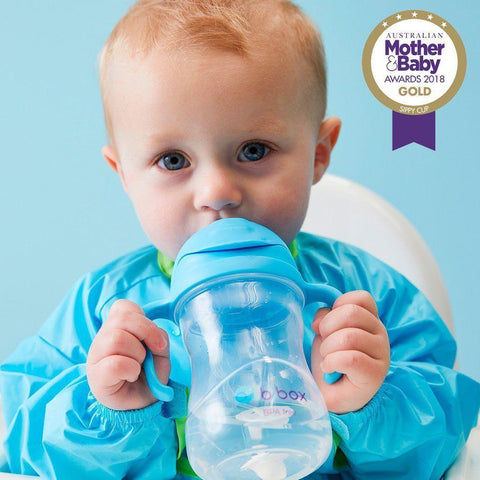 B.Box Sippy Cup CLASSIC 2019 - Blueberry | Little Baby.