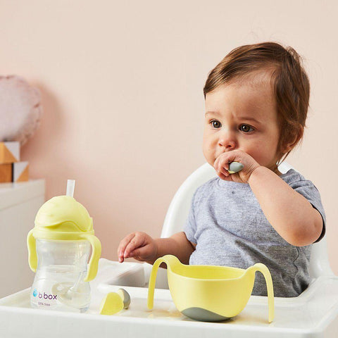 B.Box Sippy Cup Gelato - Banana Split | Little Baby.