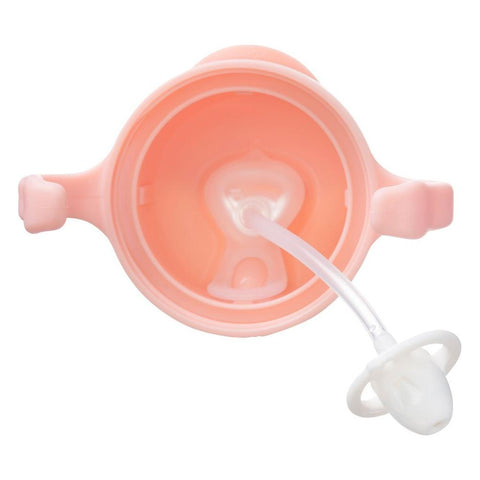 B.Box Sippy Cup Gelato - Tutti Frutti (NEW) | Little Baby.