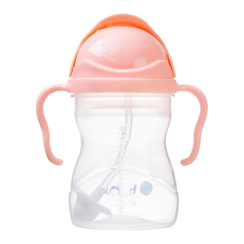 B.Box Sippy Cup Gelato - Tutti Frutti (NEW) | Little Baby.