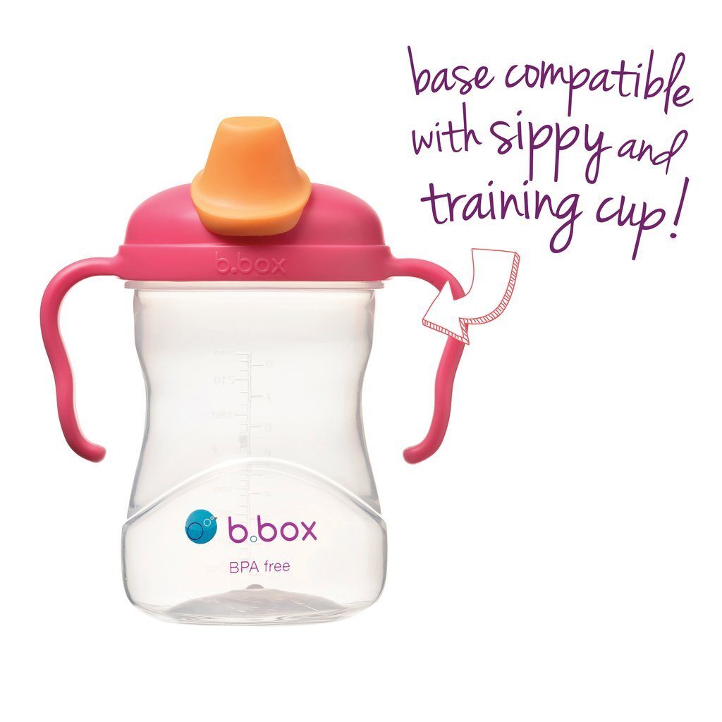 B.Box Spout Cup - Raspberry | Little Baby.