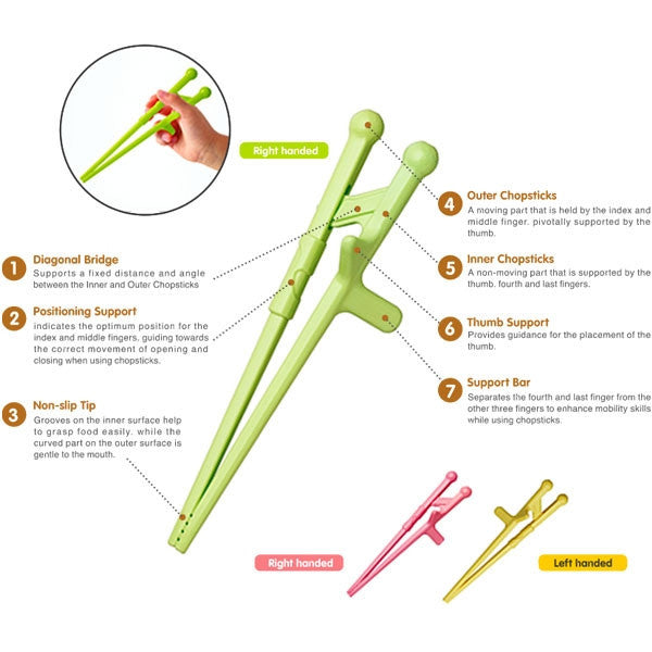 Pigeon Training Chopsticks for Left and Right Hand | Little Baby.