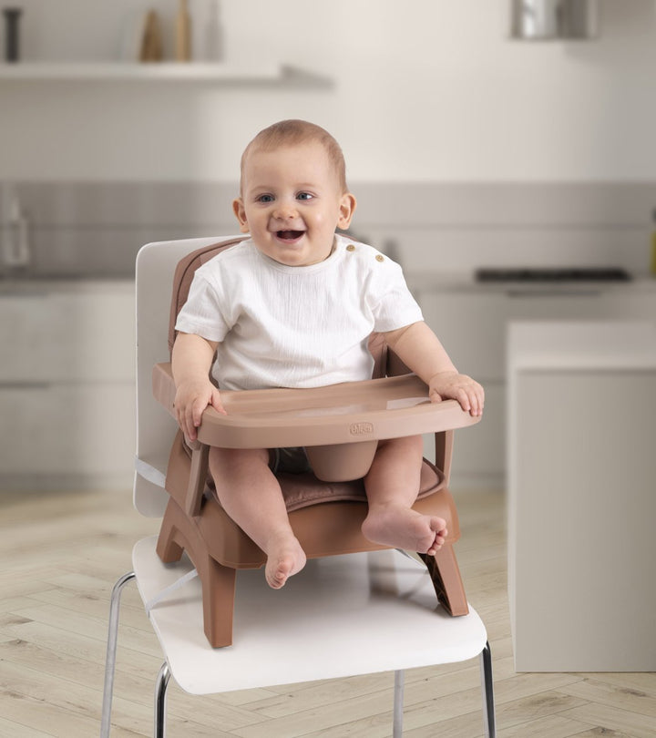 Chicco Bento Booster Seat 04087182240000