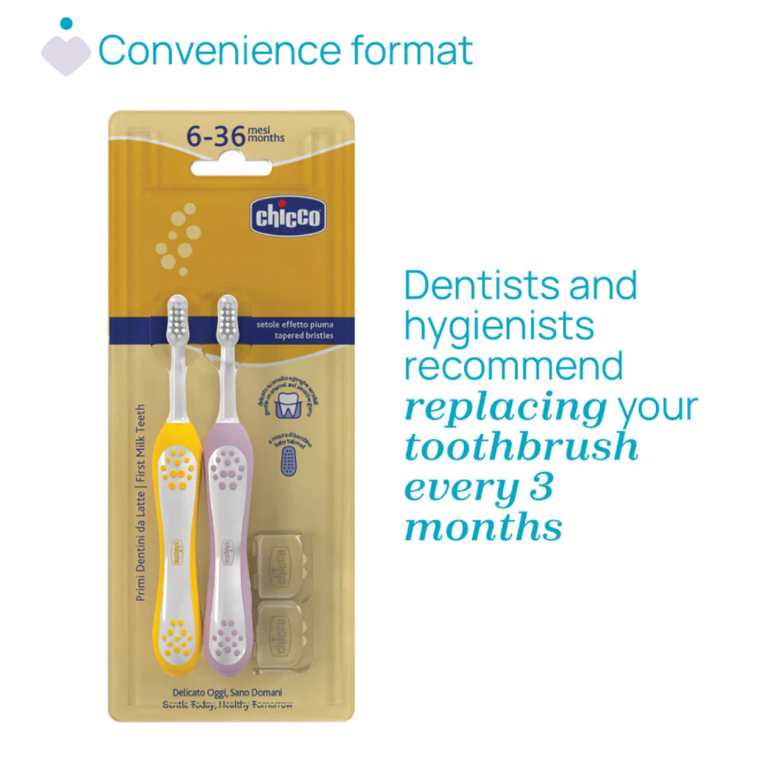 Chicco Combo First Teeth Toothbrush 6-36M 00012082000000