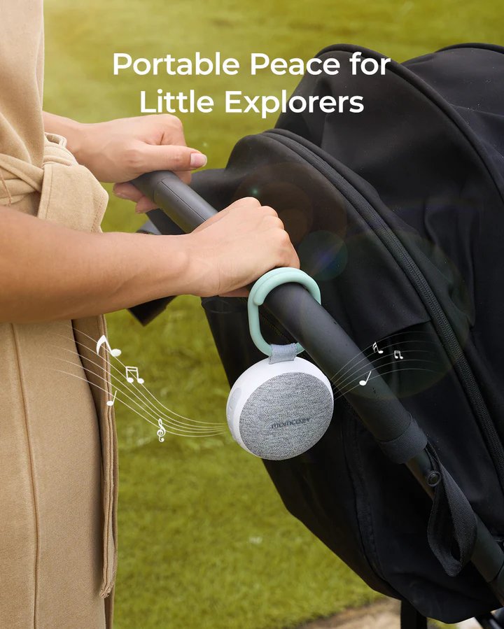 https://cdn.shopify.com/s/files/1/0659/5860/9120/files/1_6ff0cca9-edd2-4db8-a2bb-0d6182c2af45.jpg?v=1768378794