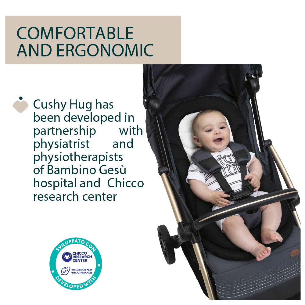 Chicco Cushy Hug Goody Xplus Goody Primo Stroller Insert 06087085950000