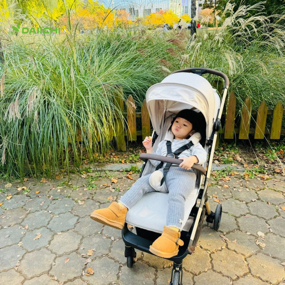 Daiichi The Space Compact Air Cabin Stroller (2025)