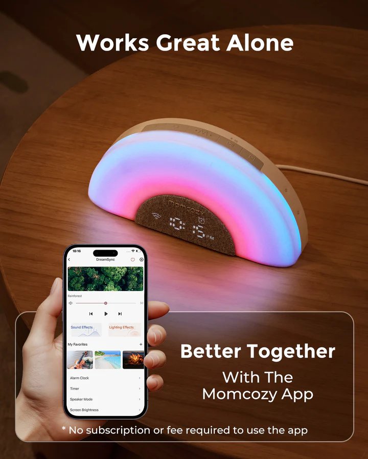 https://cdn.shopify.com/s/files/1/0659/5860/9120/files/5_70069210-3b40-4014-90c6-1aa3e428bfd1.jpg?v=1768377710