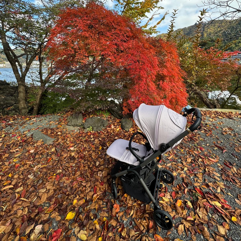 Daiichi The Space Compact Air Cabin Stroller (2025)-3
