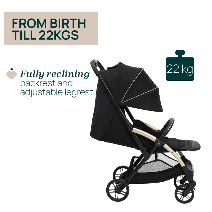 Chicco Goody XPlus Auto Fold Stroller 08087040560000