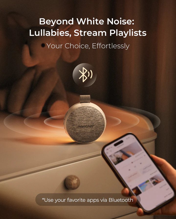 https://cdn.shopify.com/s/files/1/0659/5860/9120/files/6_20640308-3037-453b-b19c-a351a27f5ec5.jpg?v=1768378794