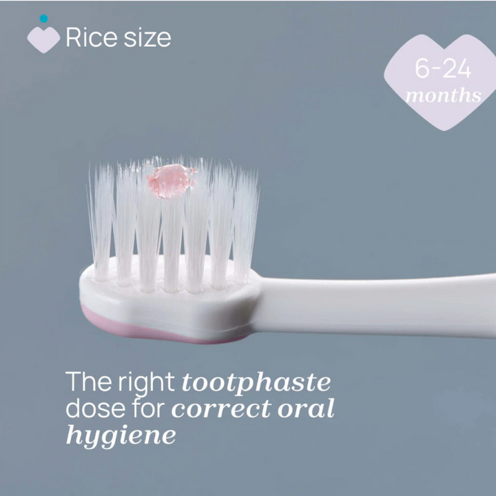 Chicco Toothbrush First Teeth 6-36m 00012081000000