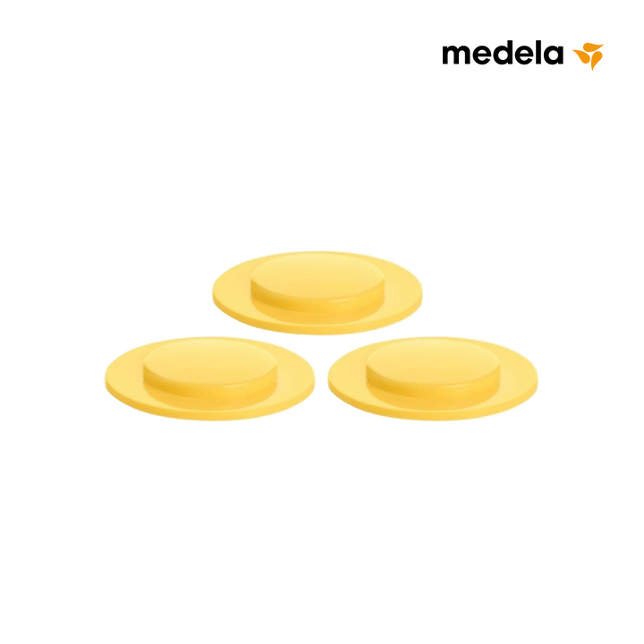 https://cdn.shopify.com/s/files/1/0659/5860/9120/files/Artboard1copy3_2x_9292de7c-da38-4115-bbdd-006c87b2e1cc.png?v=1740640745