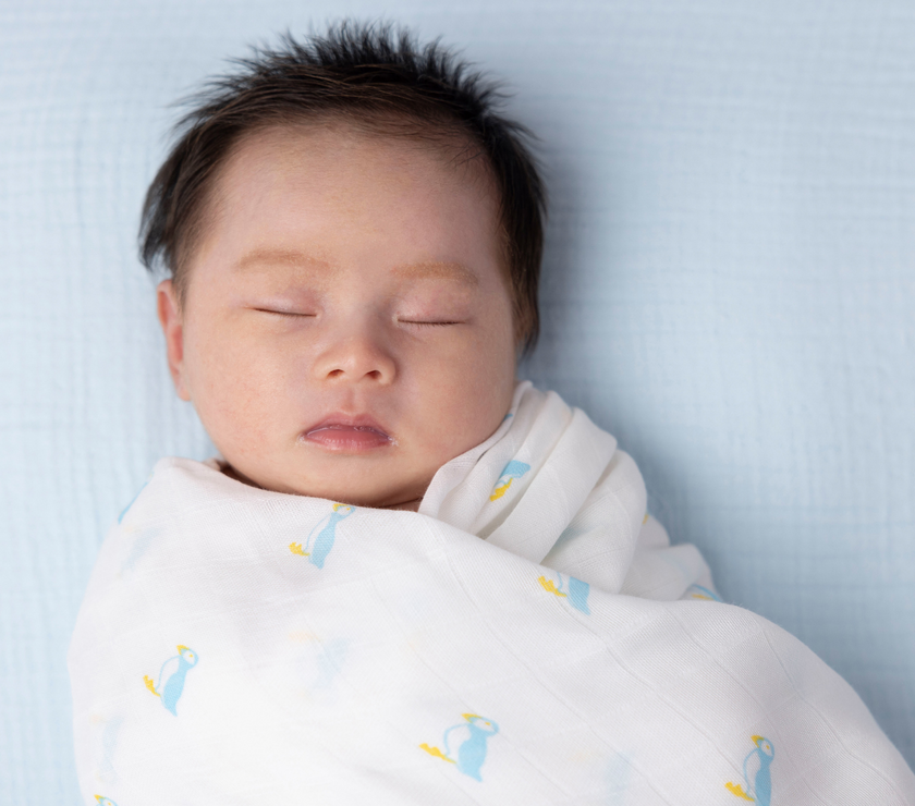 Kiki and Sebby PUFFIN Bamboo Cotton Muslin Swaddle Blankets – 2 pack