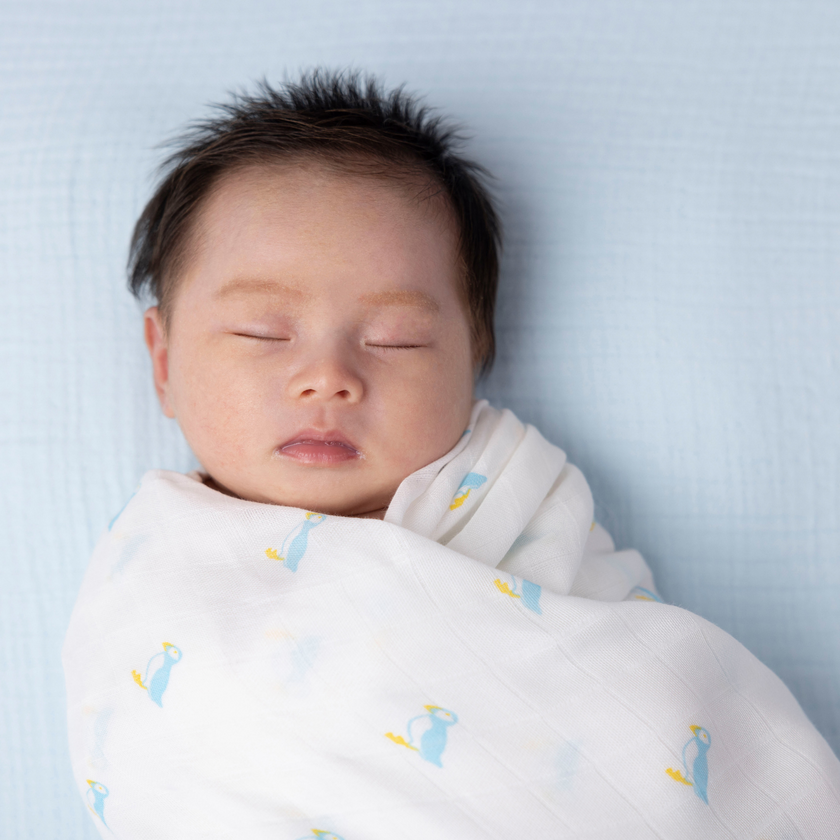 Kiki and Sebby PUFFIN Bamboo Cotton Muslin Swaddle Blankets – 2 pack