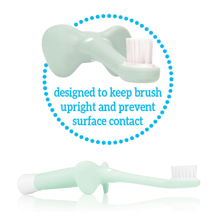 https://cdn.shopify.com/s/files/1/0659/5860/9120/files/HG016_Product_Infant-to-Toddler_Toothbrush_Elephant_Mint_Call-out.jpg?v=1727430242