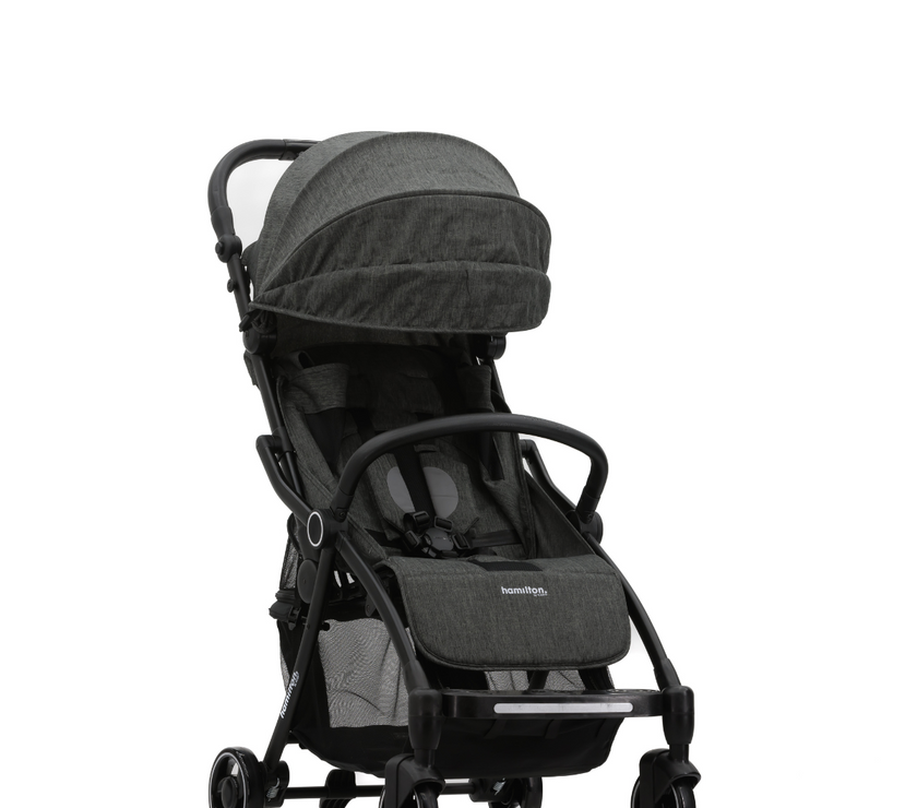 HAMILTON XL (New Facelift) - Assorted Colour